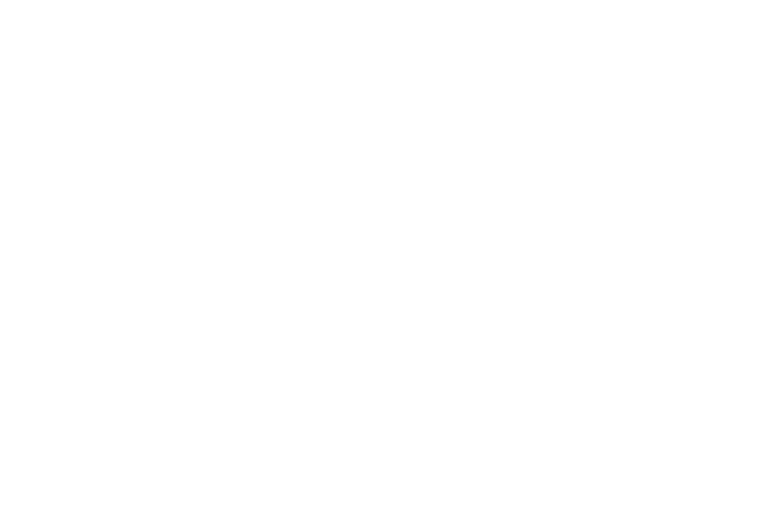 BONECO VERDE